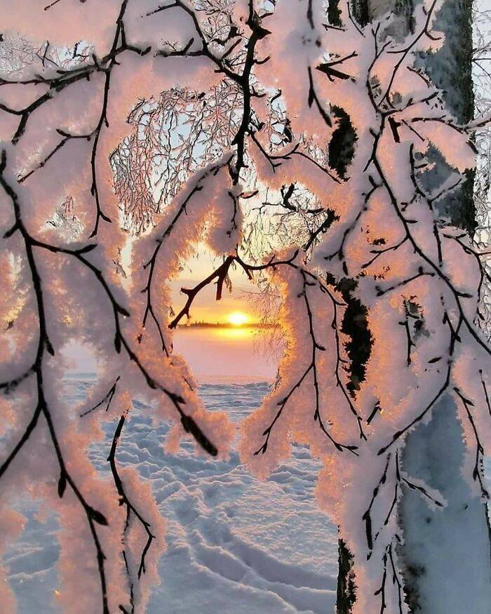 snowpatterns.jpg