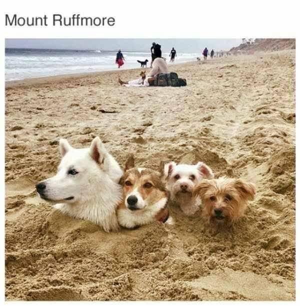 BD879C82-M6.jpeg