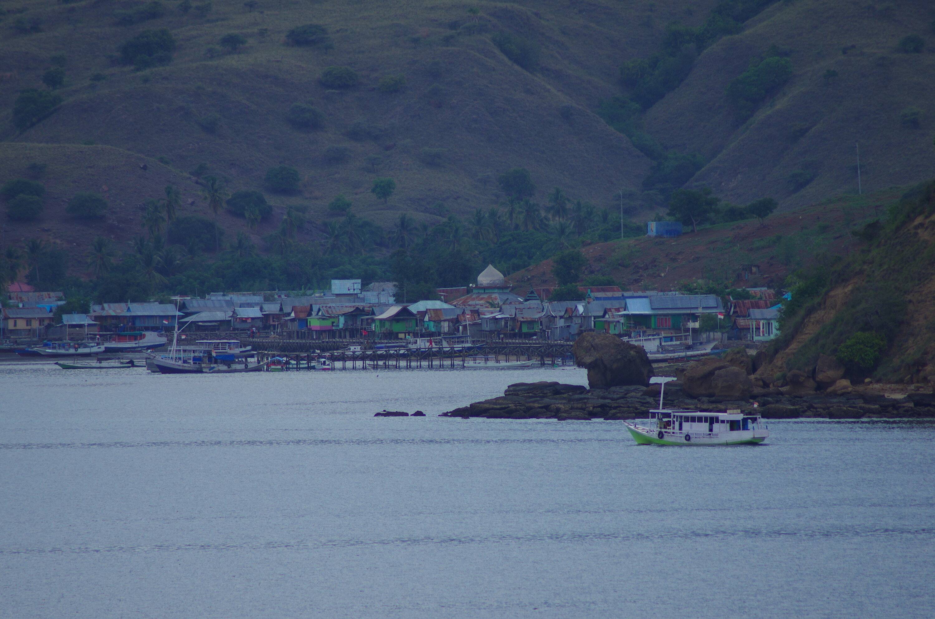 IMGP8896.JPG