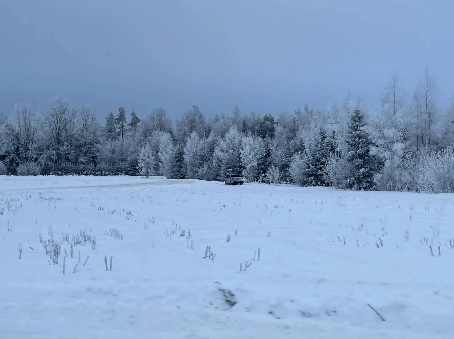 F3C33FAA-A737-4BB8-B5A0-BDFB3400EF65.webp