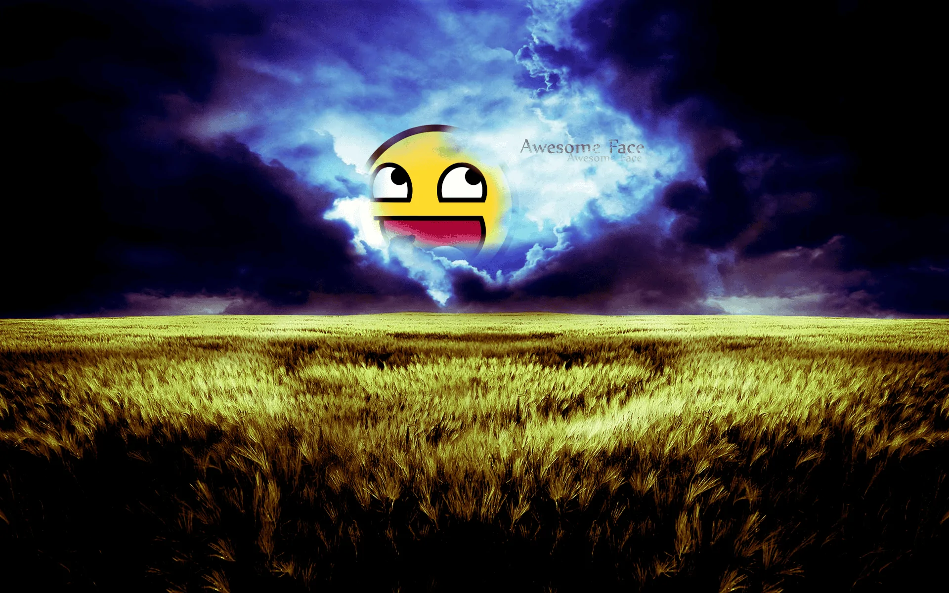 1674447627665.webp