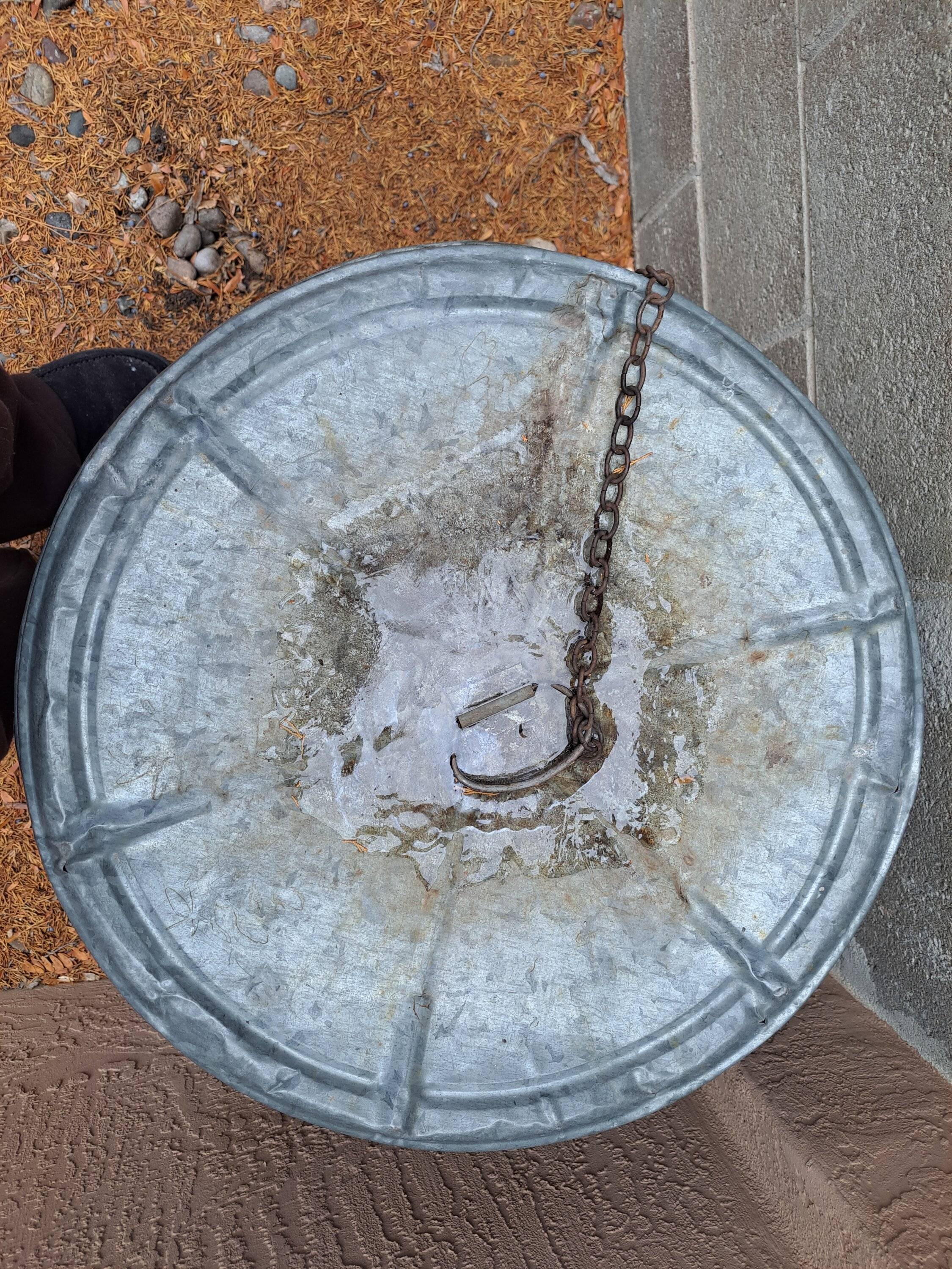 Water frozen on Metal can 01-18-23 @8.30 AM.jpg