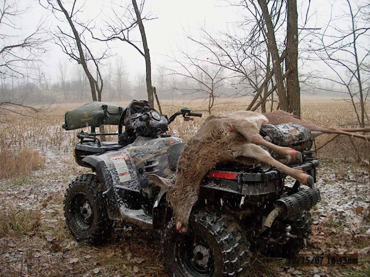 2011.polaris.sportsman800.camo_.rear-left.parked.hunting.hauling-deer.jpg