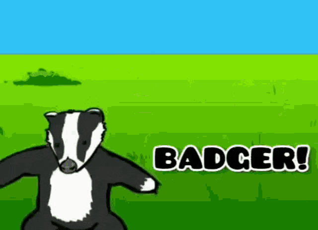badger-badger-badger.gif