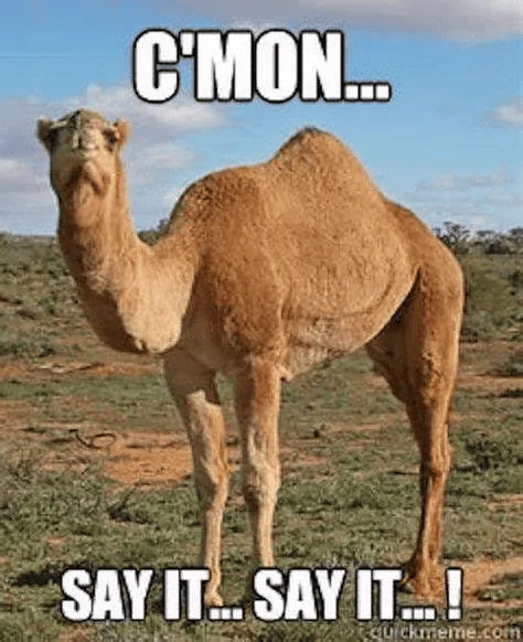 1675084721763.png