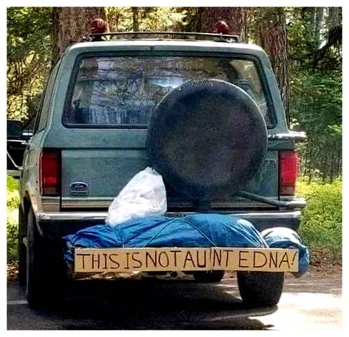 Not Aunt Edna.jpg