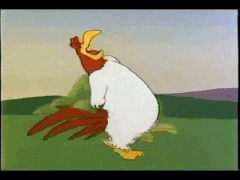 IMG_20230201_122252.gif