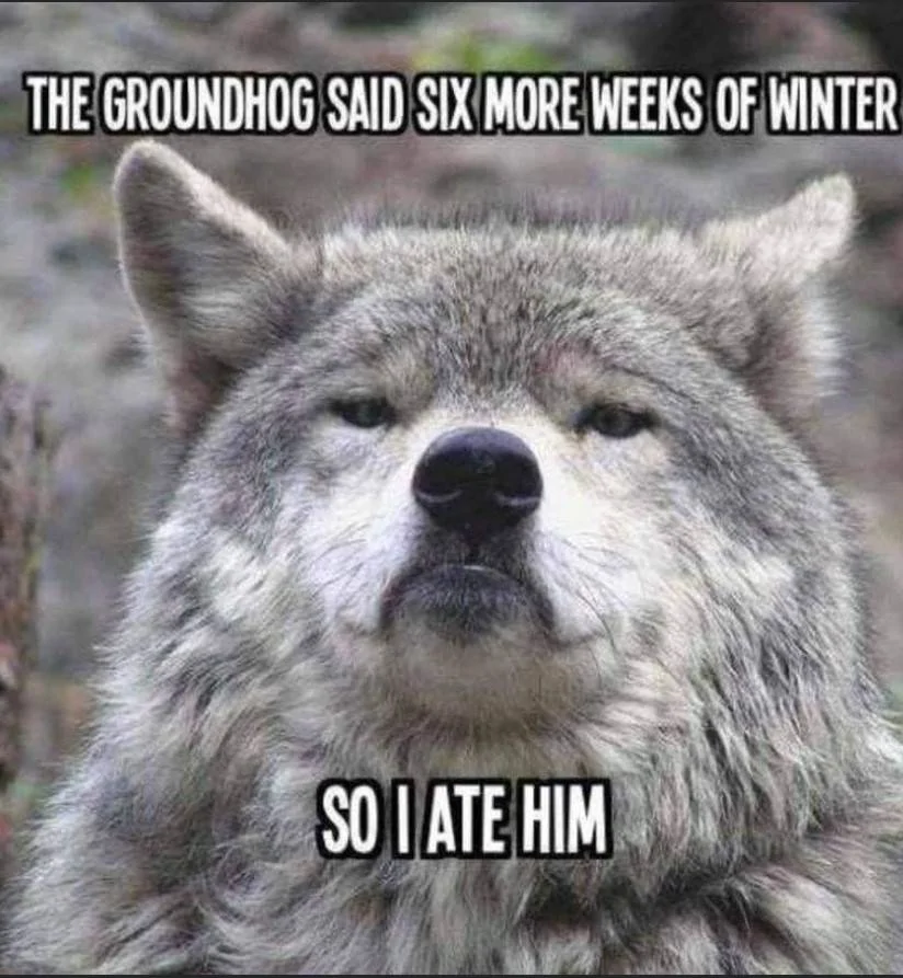 Eat groundhog.webp