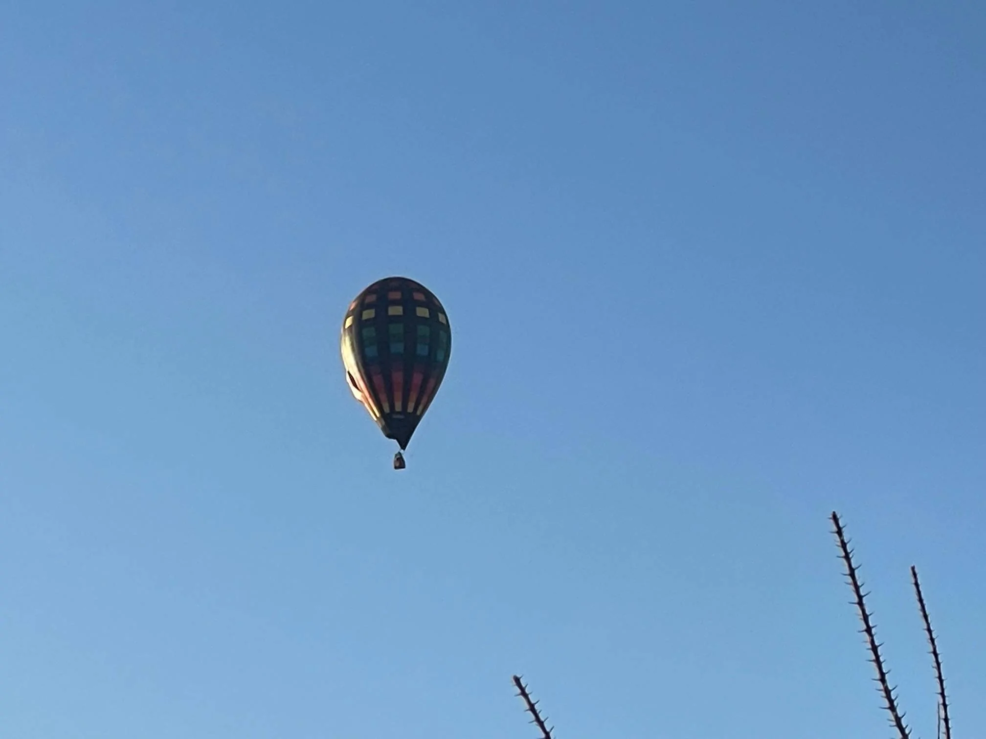 IMG_8241.jpg