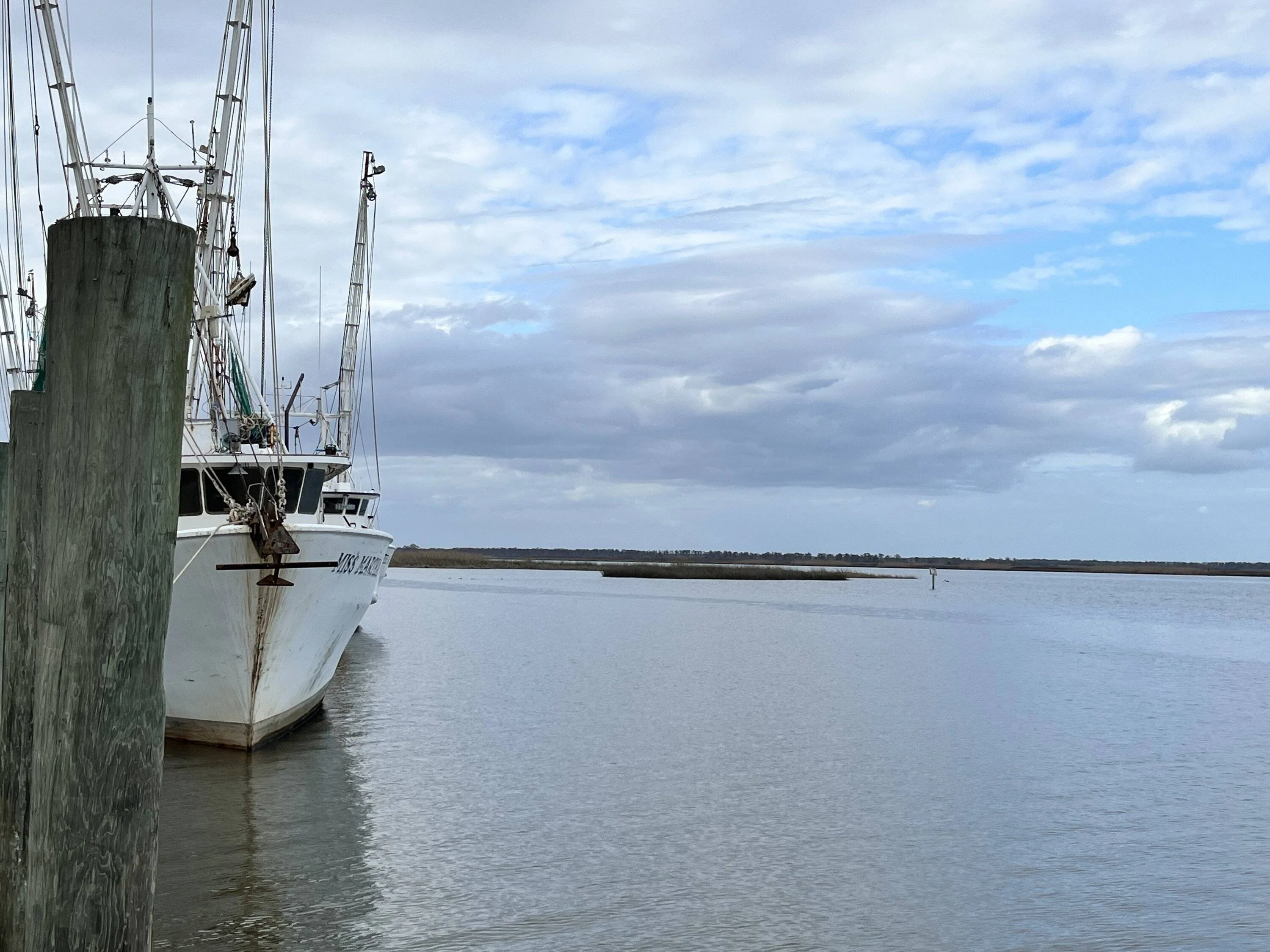 50704BF0-3017-4BFC-A231-6E60726FDDA1.webp