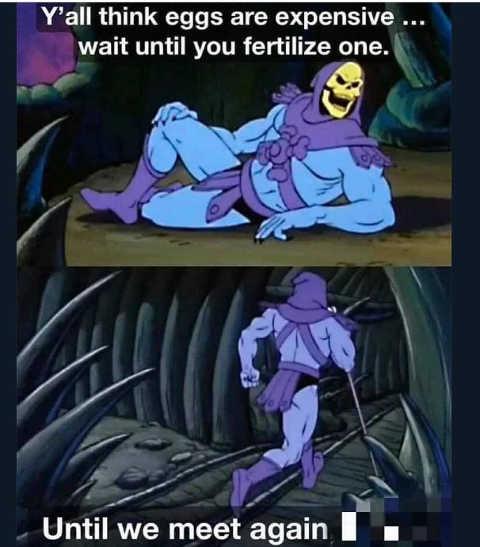 Eggs.jpg