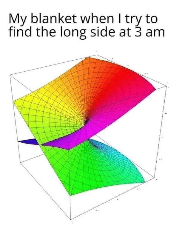 1675737250556.webp