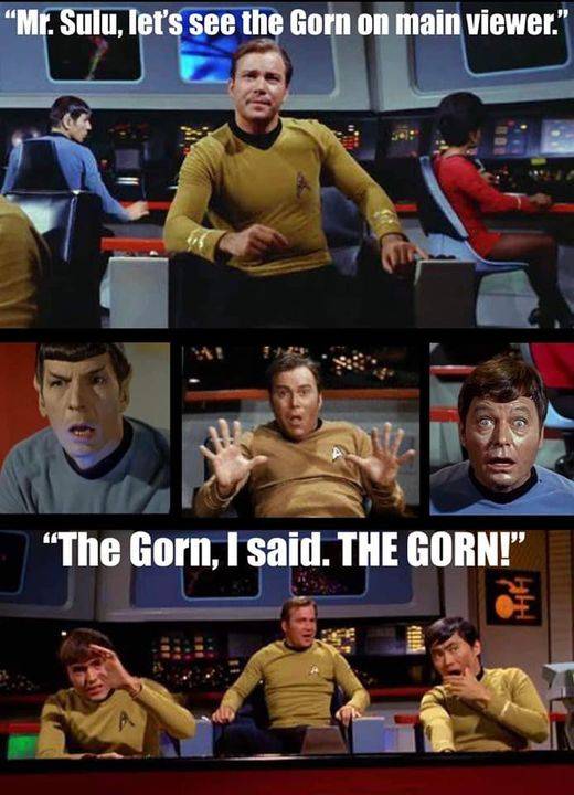 Gorn.jpg