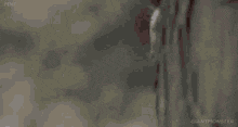 79F28BC3-9065-400C-B4E6-A884FF2DF9BB.gif
