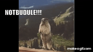 Groundhog_notbudule.gif