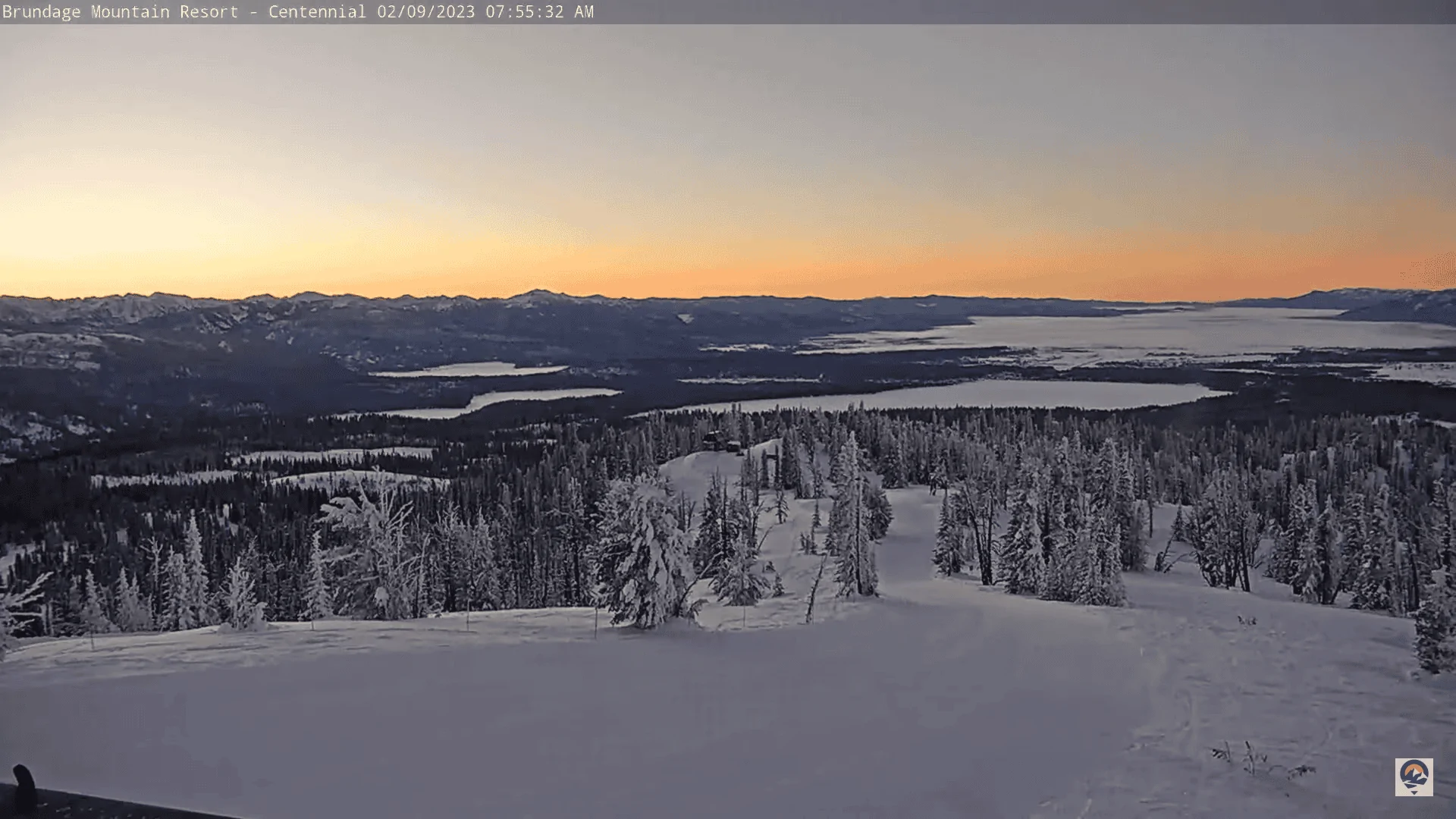 Centennial 020923.webp