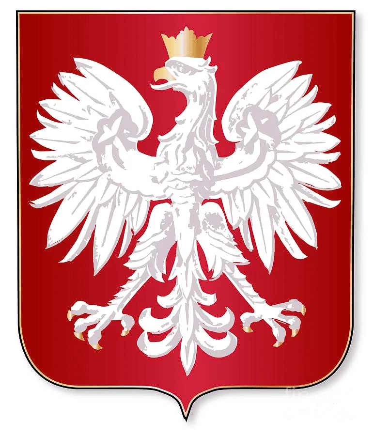 1675980975529.webp