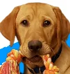 8429.webp