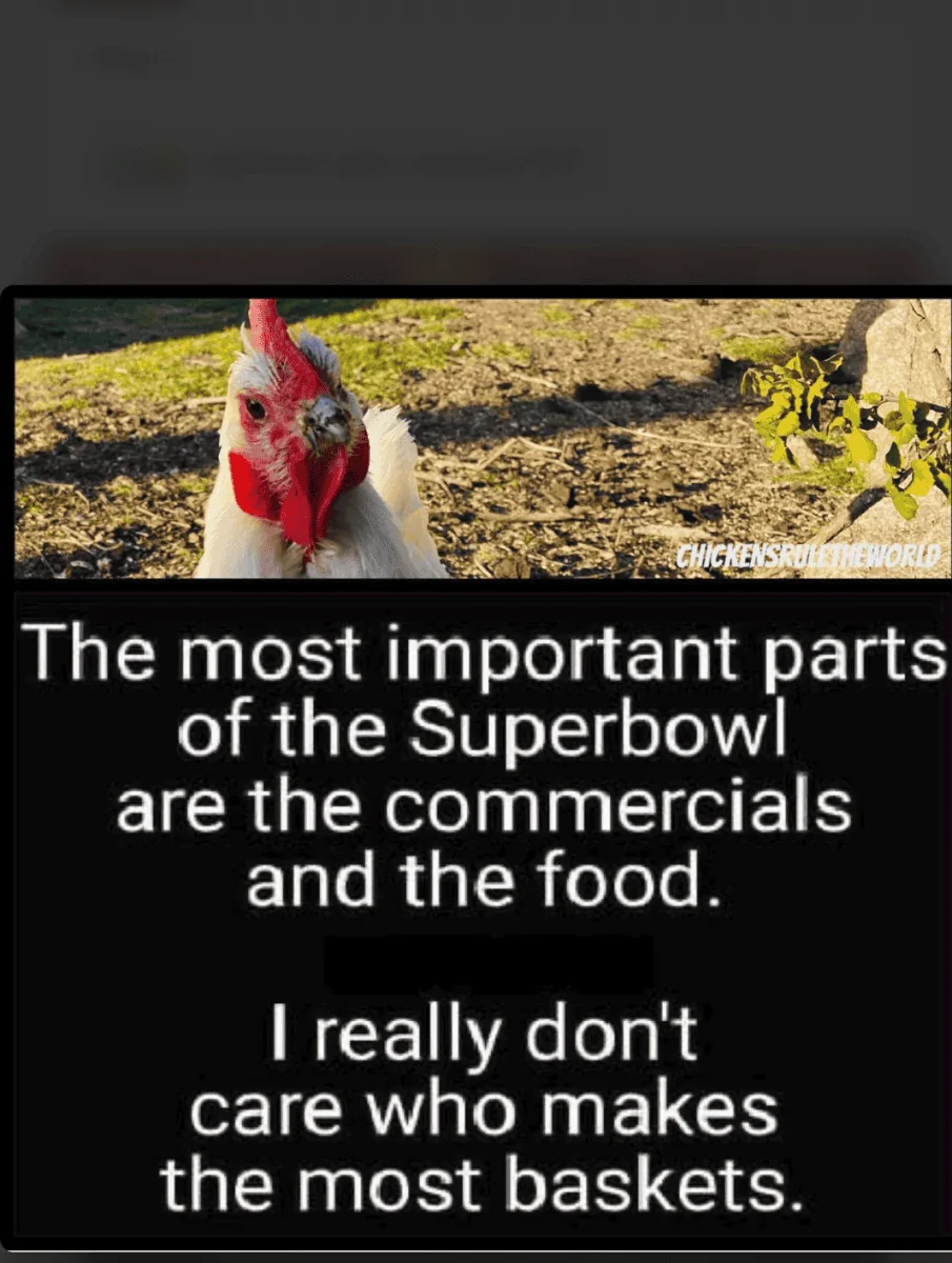 1676288205880.webp