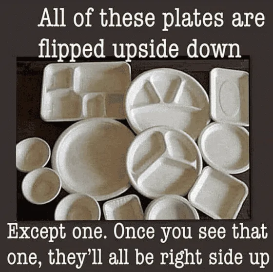 Plates.webp