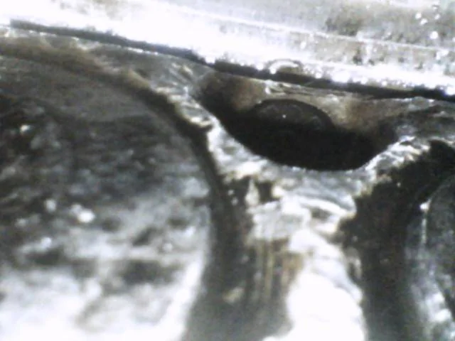 07D08927-82D4-475B-87CF-E58D97BA4354.jpeg