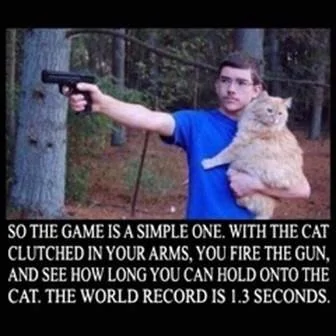 catngun.webp