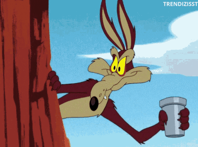 IMG_20230214_221605.gif