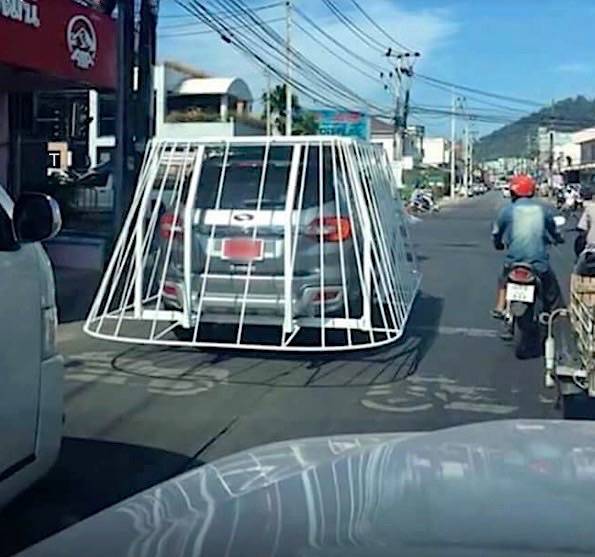  cage-x.jpg