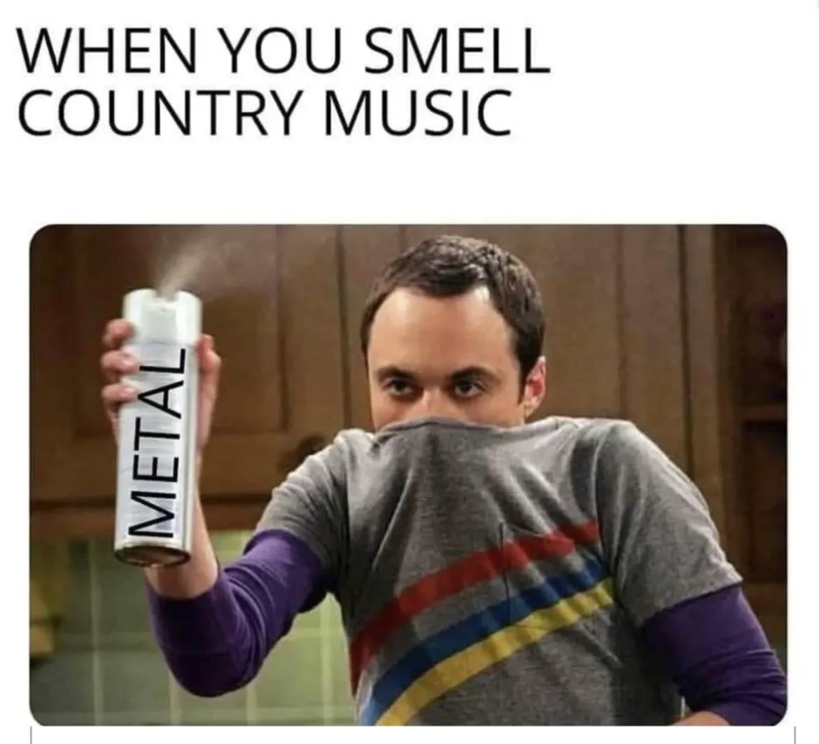 Country Music.webp