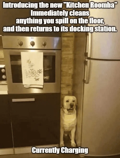 1676571954736-M6.webp