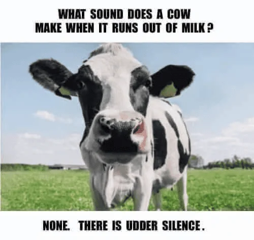 1676846138457.png