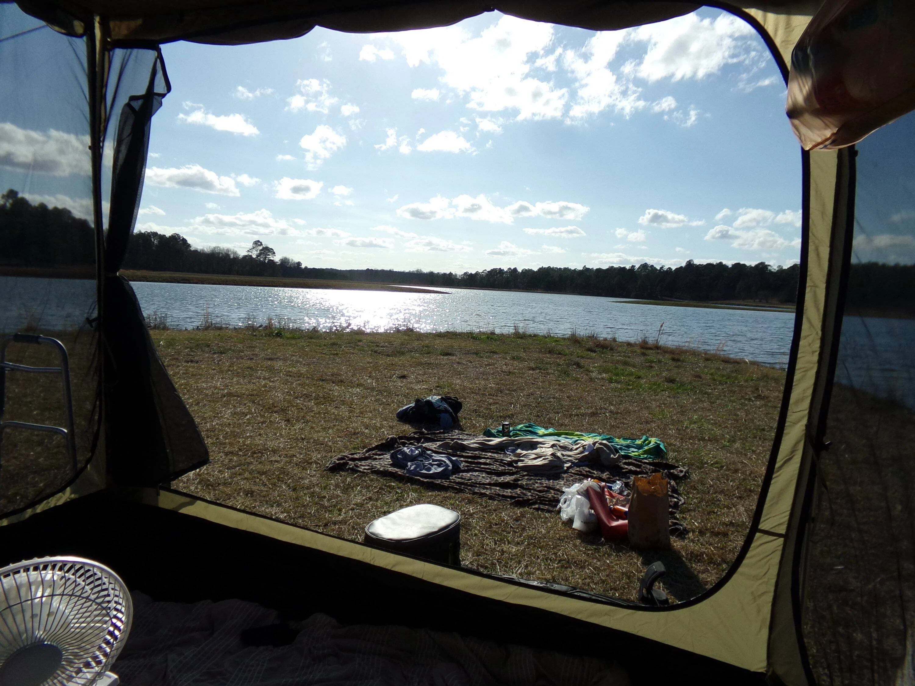 100_0278.webp