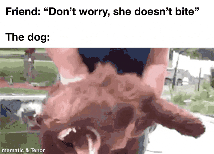 mvceeeegpnja1.gif