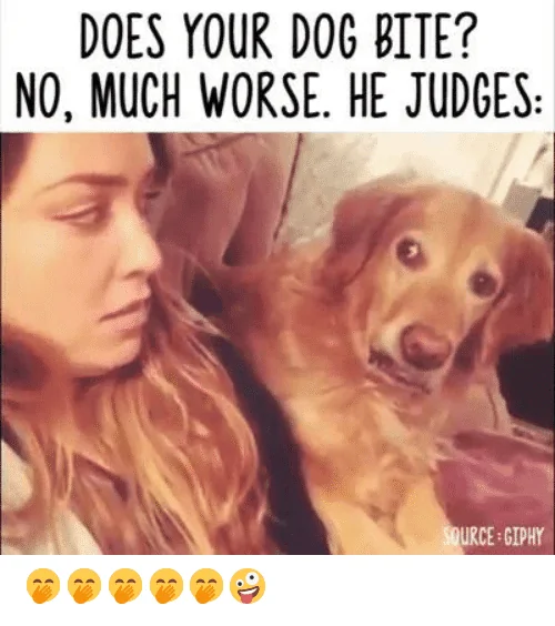 does-your-dog-bite-no-much-worse-he-judges-ource-57273965.webp