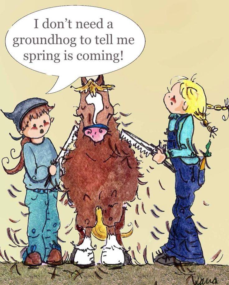 horse_shed.jpg
