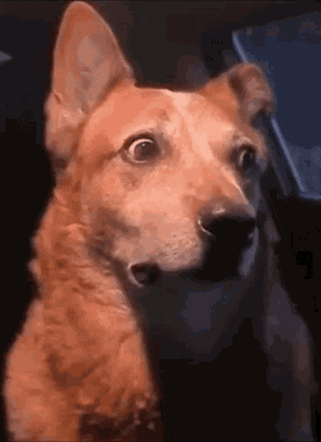 1677115320923.gif