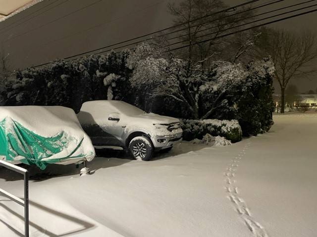s2.jpg