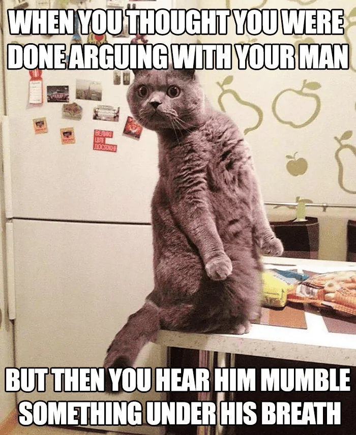 Done arguing.webp