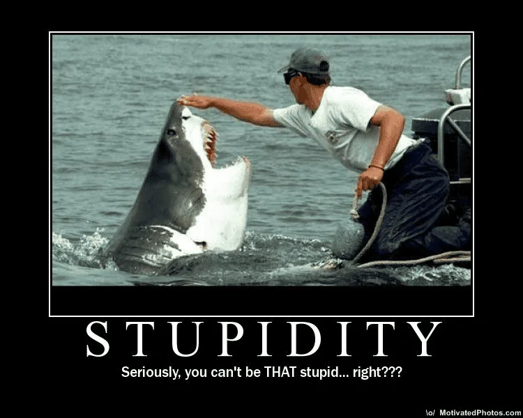 1677469044502.webp