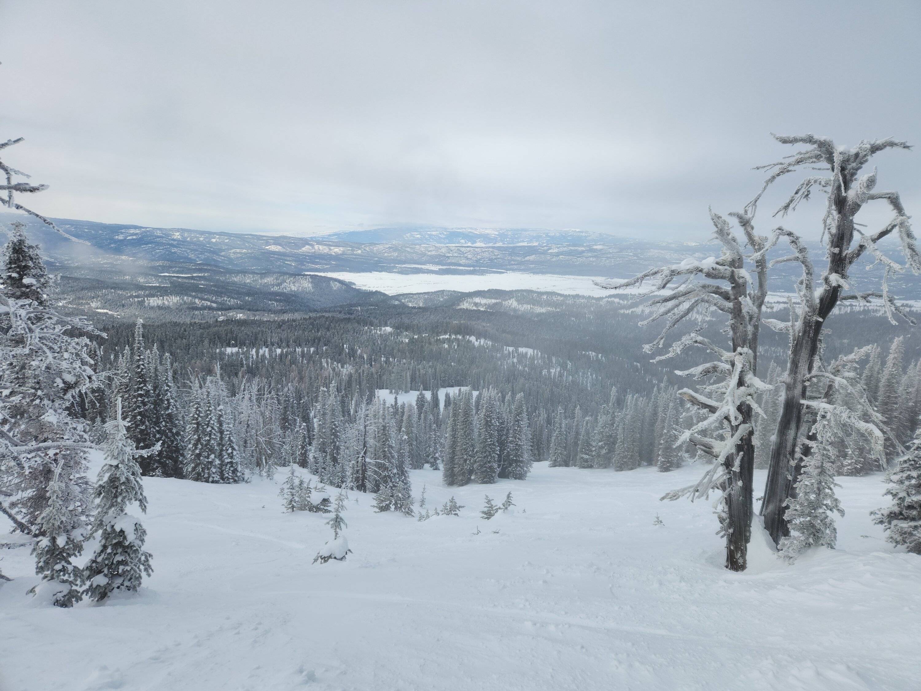 meadow bowl.jpg