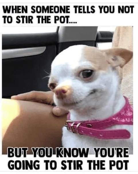 Stir the Pot.webp