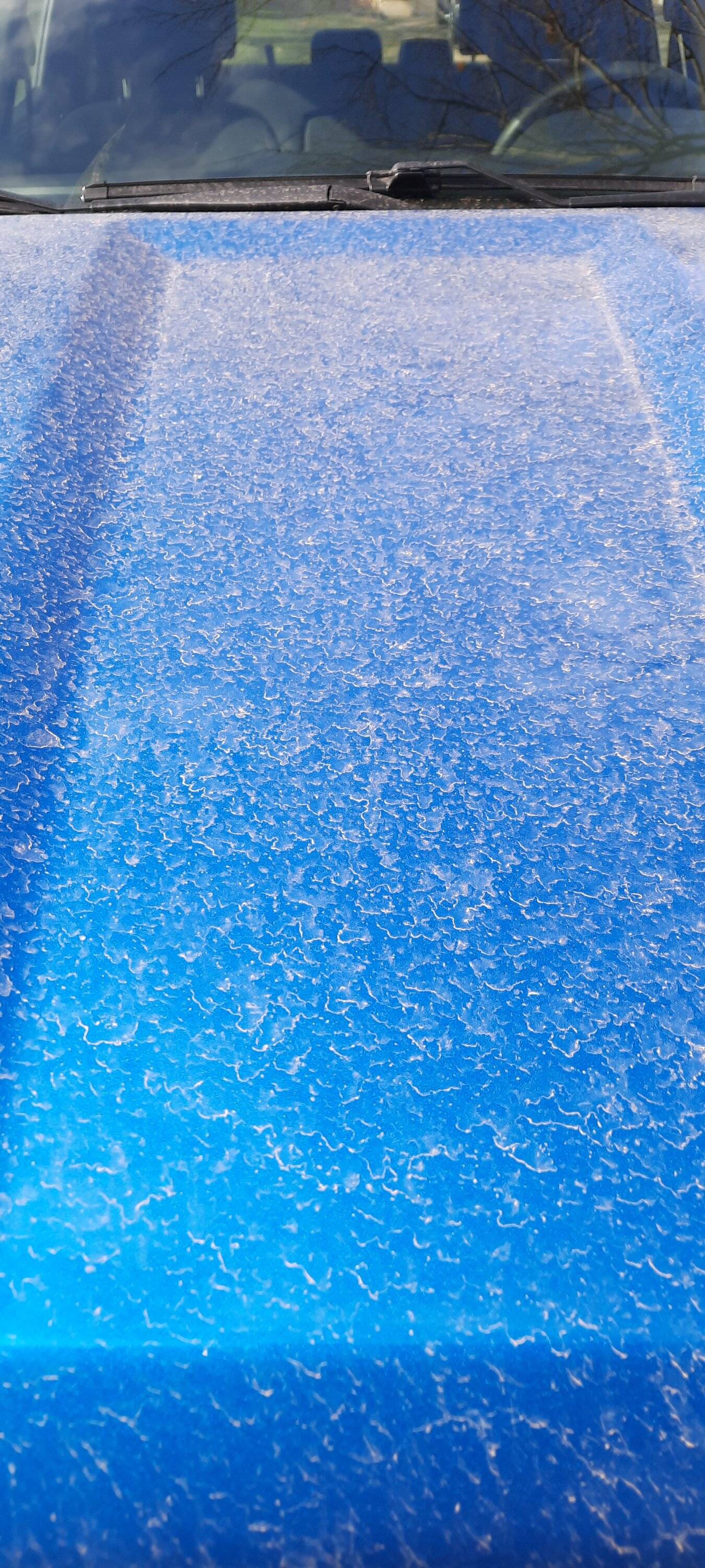 20230227_101615.jpg