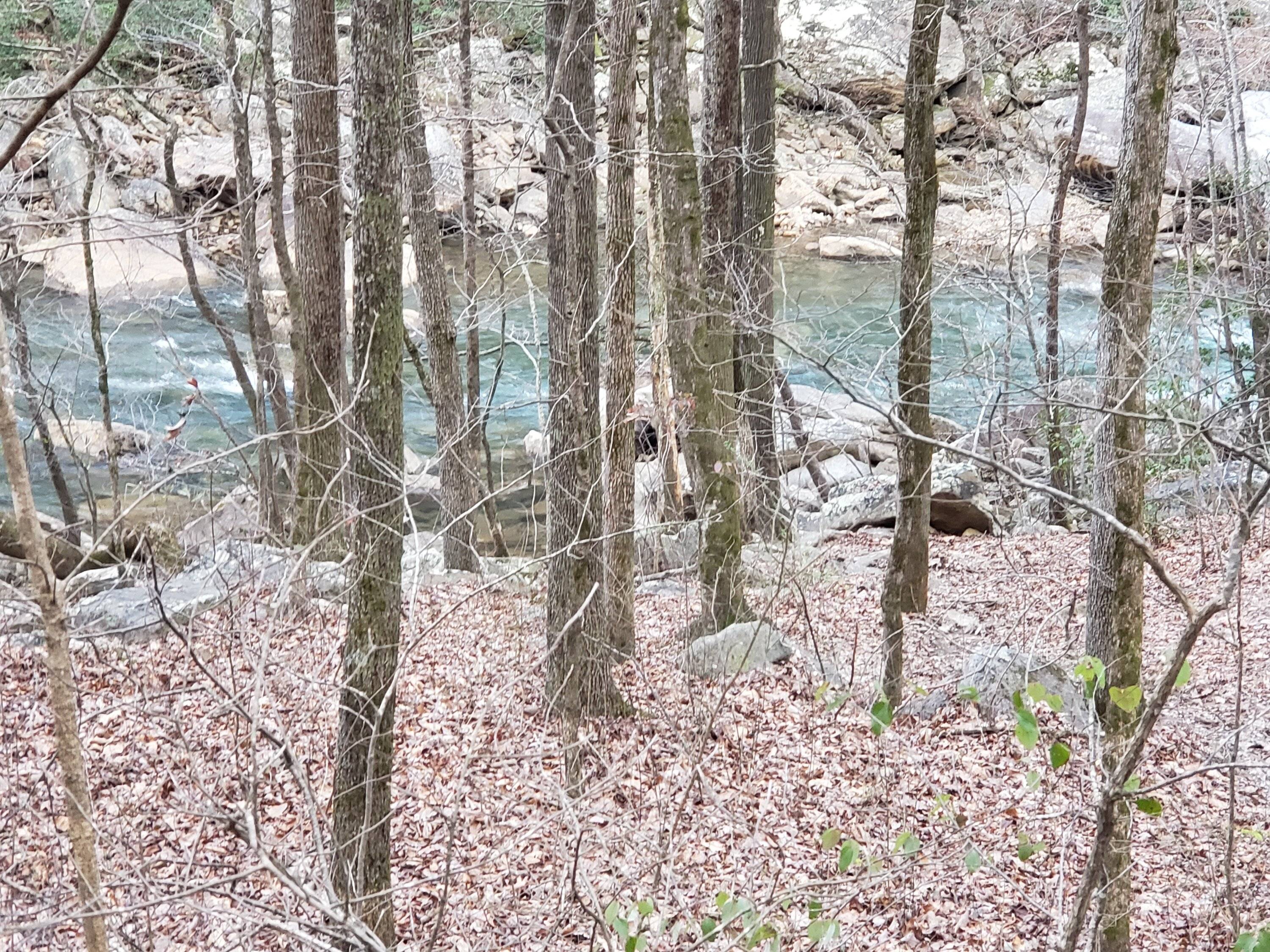 20230301_073956.jpg