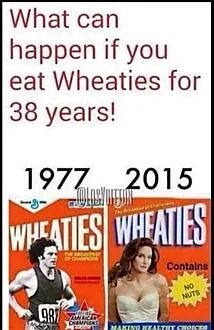 wheat.webp