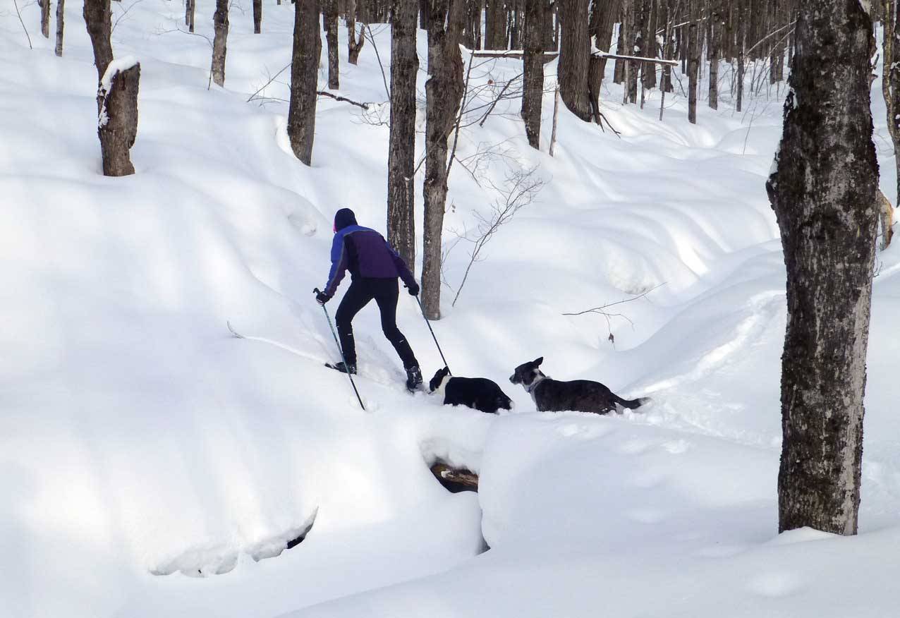 P1150186.jpg