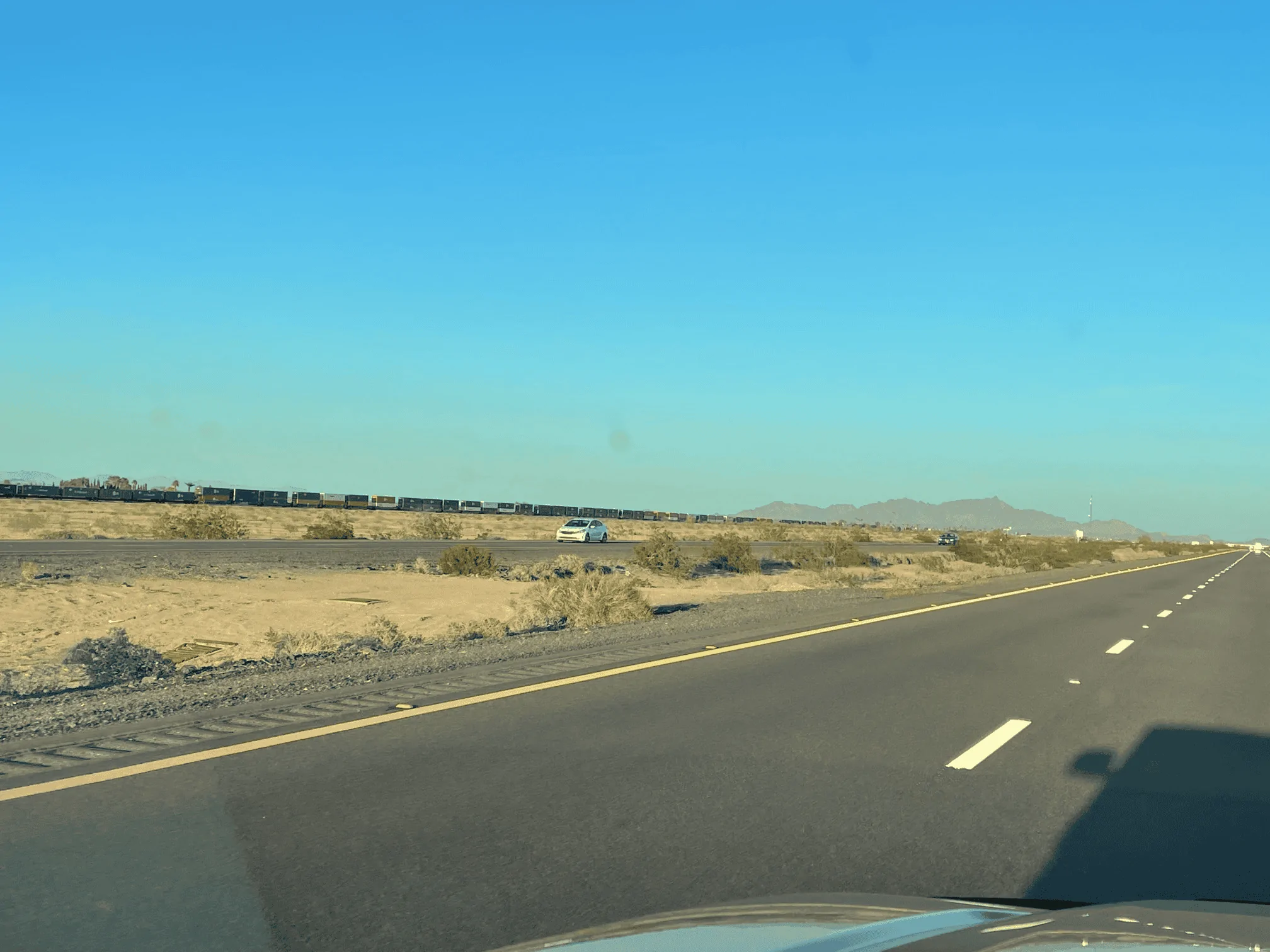 1677902812732.webp