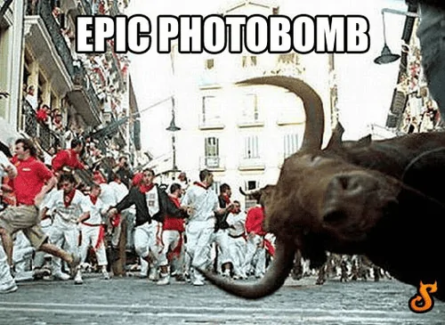 1677956582026.webp