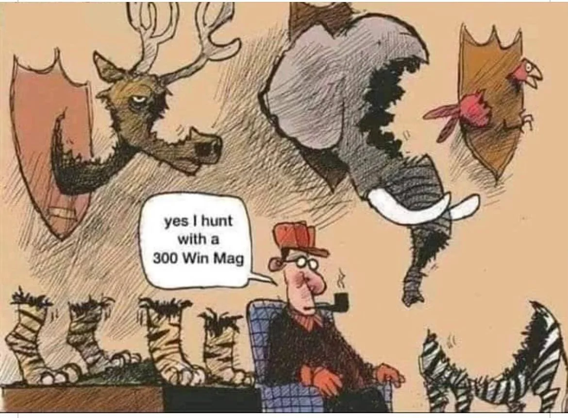 300 Win Mag.webp