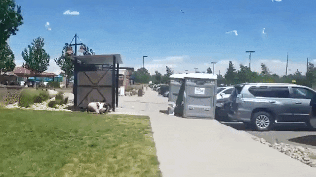 E1DCFD4C-5558-41E7-872C-B3A15CD45F8B.gif