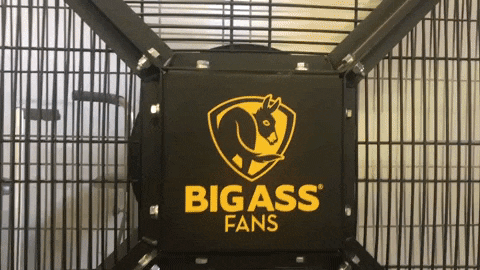 1db1c2dfdf9103ee993629e9724e9142.gif